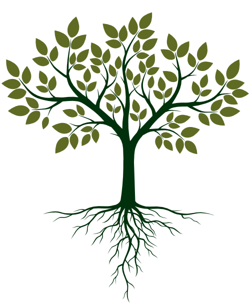 Green Web Hosting